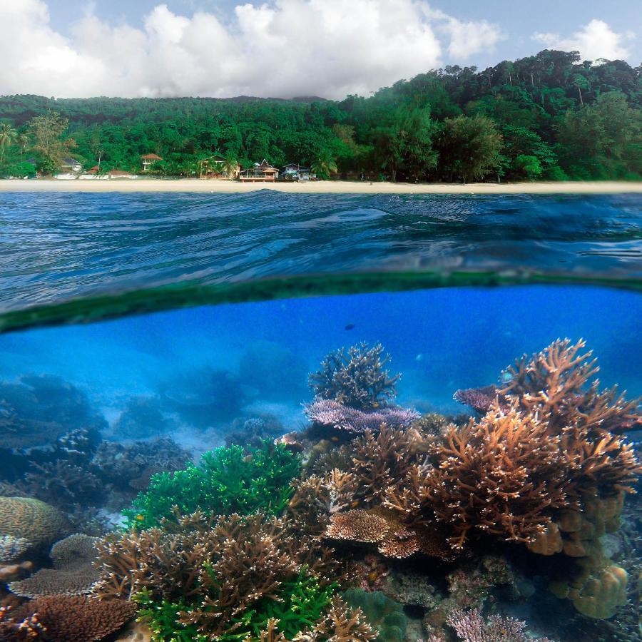 Swiss Cottage Tioman Kampong Ayer Batang Bagian luar foto
