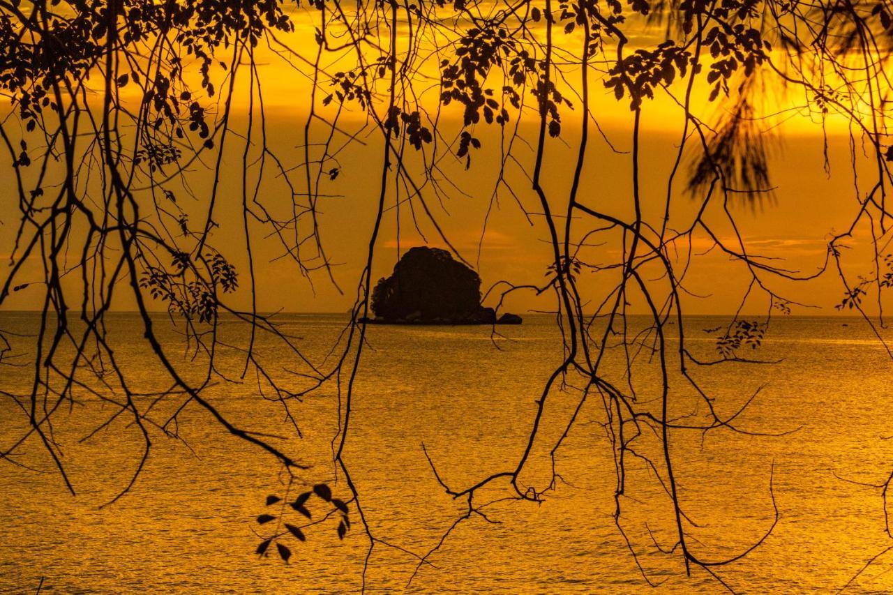 Swiss Cottage Tioman Kampong Ayer Batang Bagian luar foto